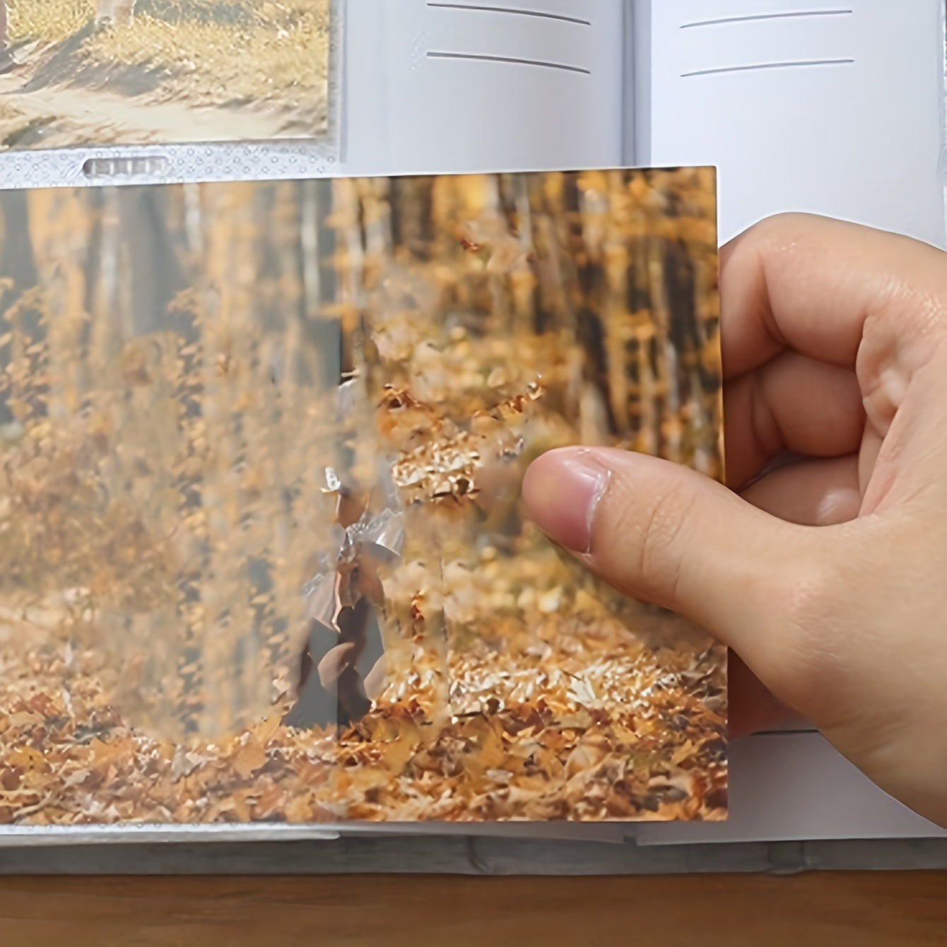 Reisfotoalbum